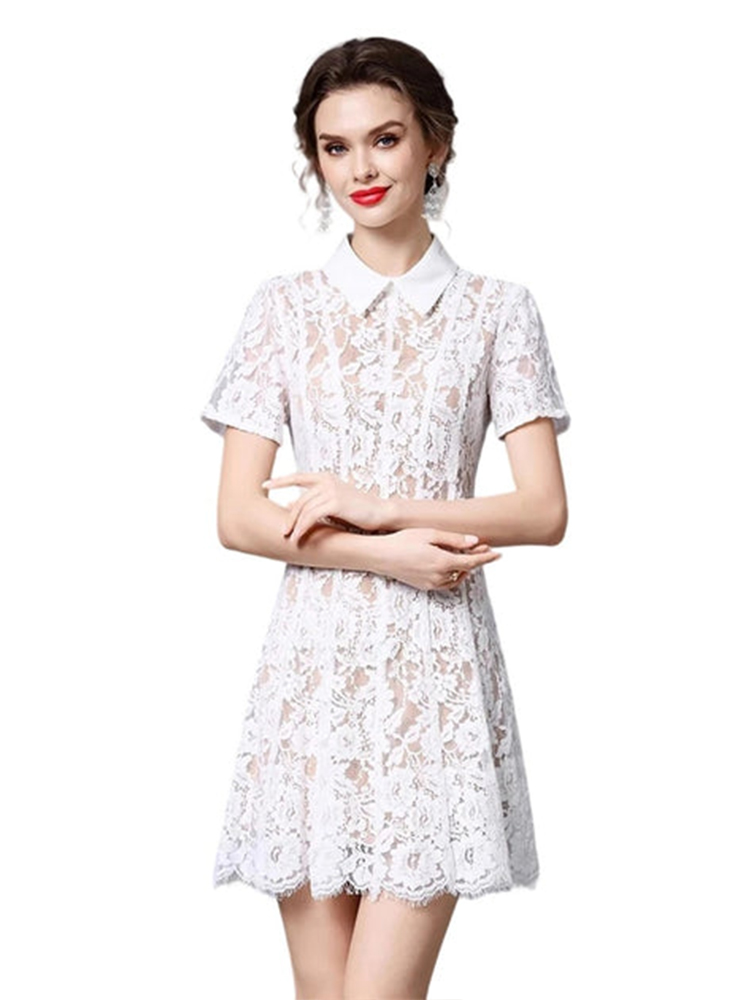 Stand-up collar lace hollow slim A-line dress